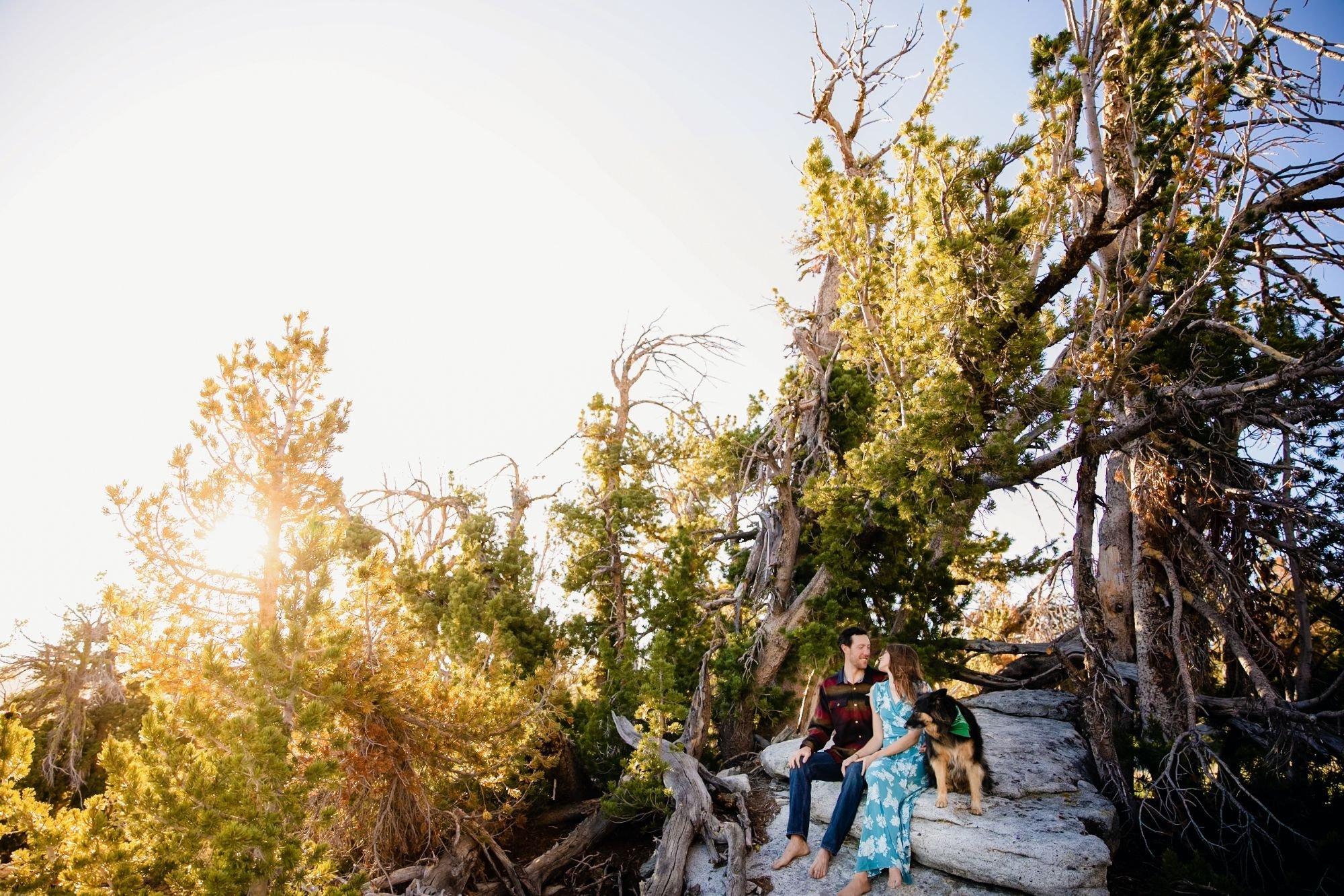 carousel-hero-element image-8